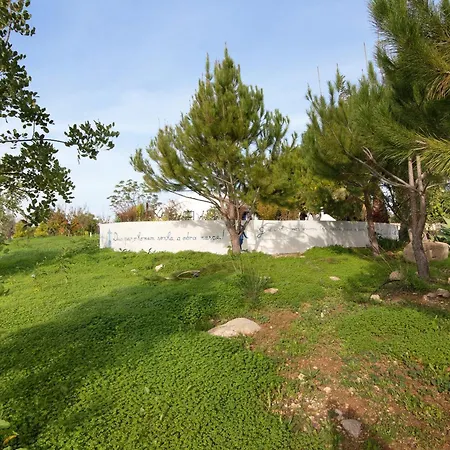 Βίλα Quinta Do Mestre- Casa Passarinhos Ταβίρα